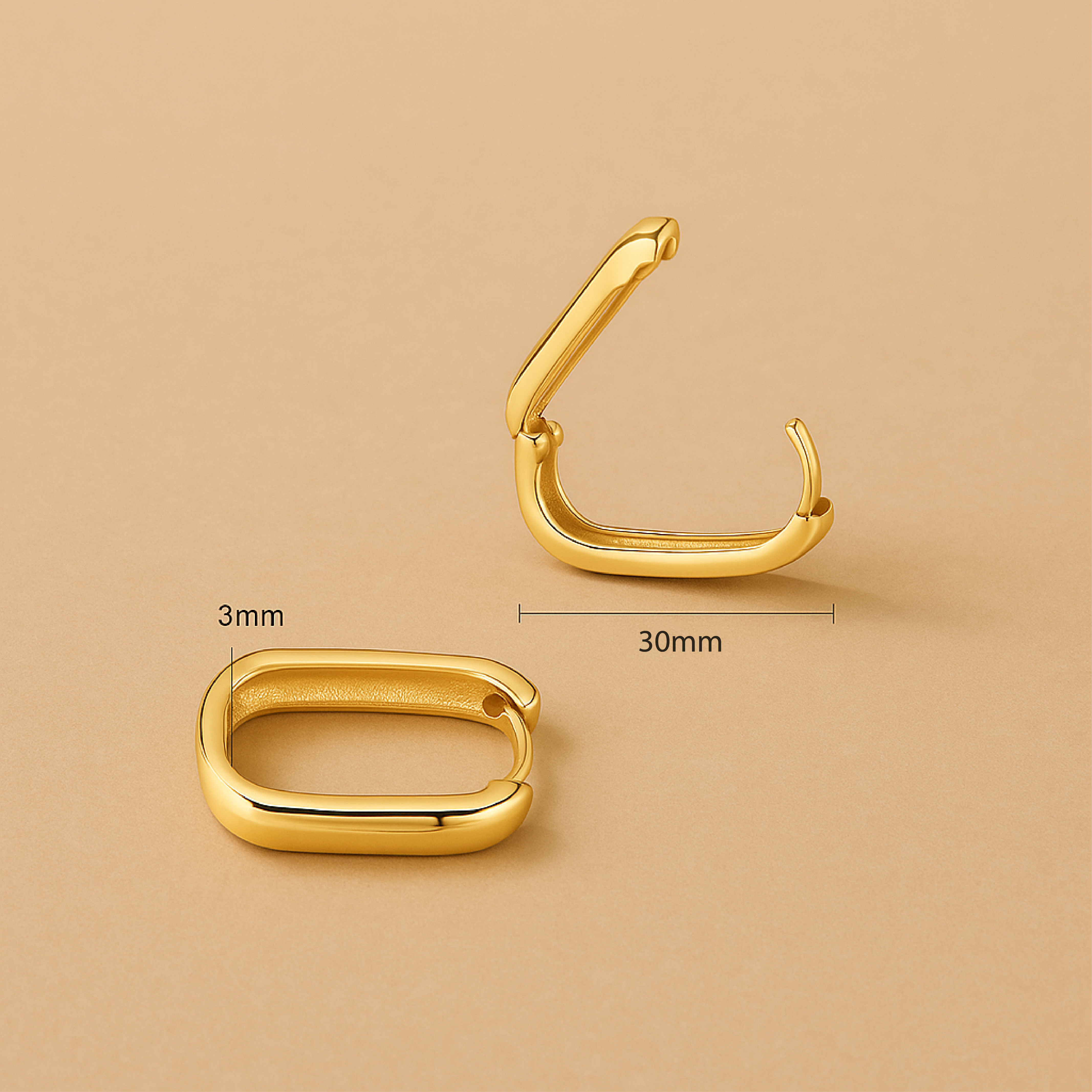 The Large Icon Hoops in Gold